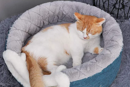 Cozy Pet Cave